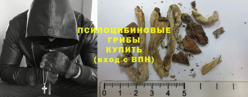 Псилоцибиновые грибы Psilocybe  Верхоянск 